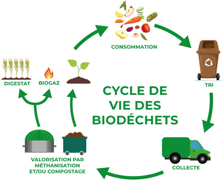 cycle de vie des biodéchets